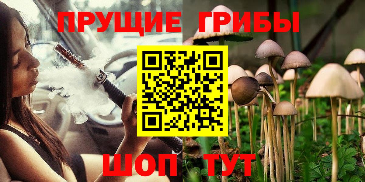 Галлюциногенные грибы GOLDEN TEACHER  Вход с VPN  Псилоцибиновые грибы Magic Shrooms  Михайловск 